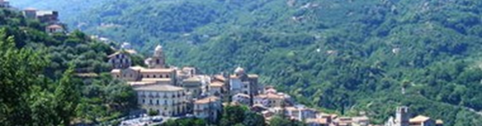 Parrocchia Maria Santissima della Stella Parrocchia Maria Santissima della Stella